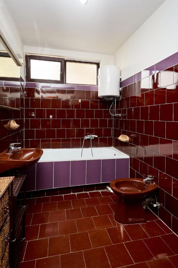Apartmani Dr. Gasa Soko Banja Exteriér fotografie