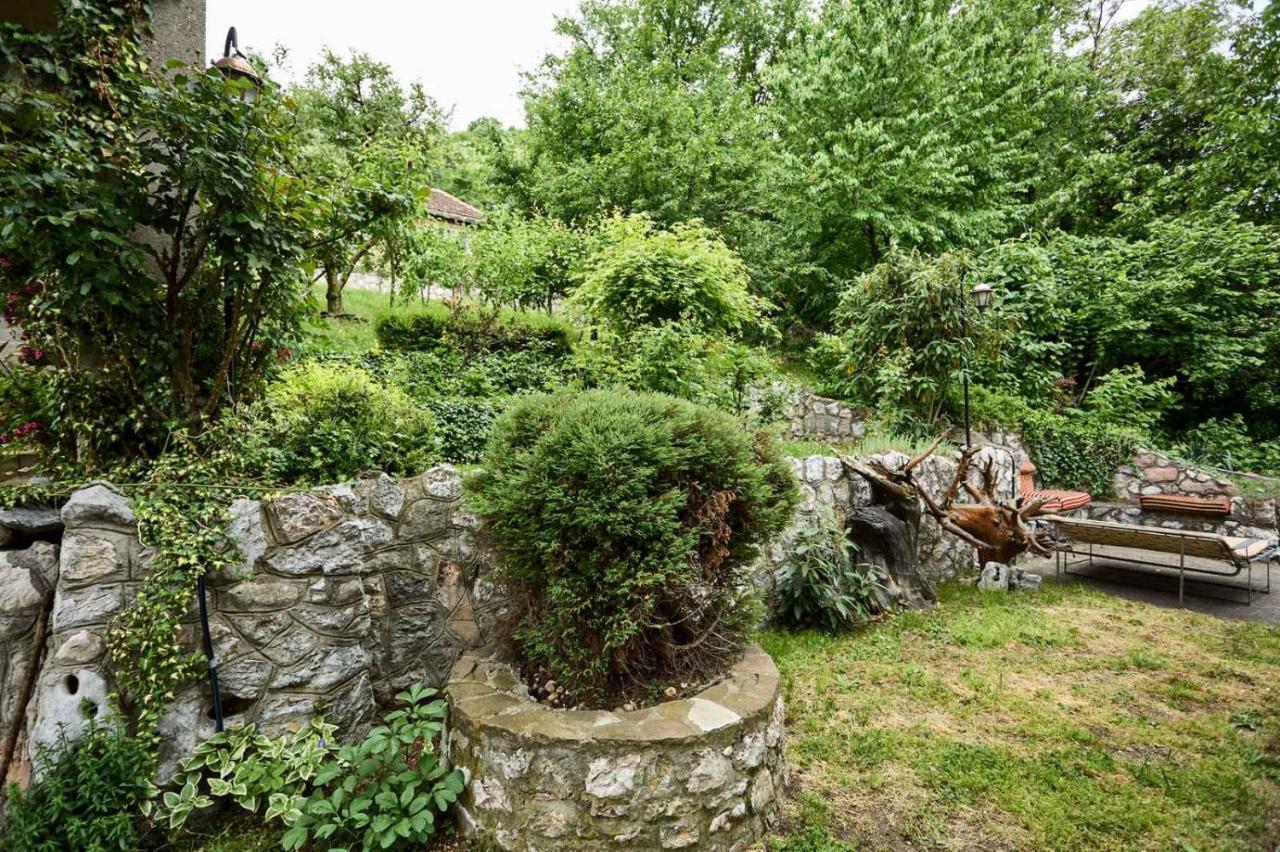 Apartmani Dr. Gasa Soko Banja Exteriér fotografie